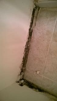 Image result for Bathroom Black Mold Removal