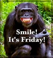 Image result for Funny Happy Friday Monkey