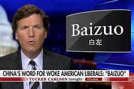 Image result for baizuo in china