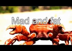 Image result for Two Mad Fat