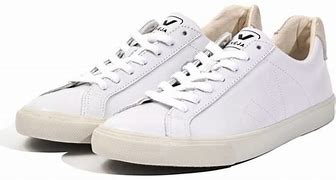 Image result for Veja White Sneakers