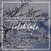 Image result for Quotes On Gratitude and Appreciation towards Someone