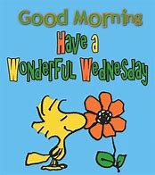 Image result for Happy Wednesday Quote Cartoon Funny