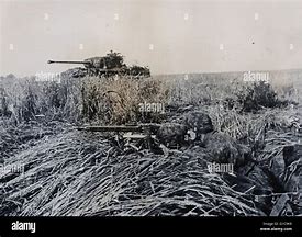 Image result for Waffen SS Panzer Wrap Normandy