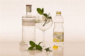 Image result for Botanist Gin Tonic
