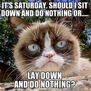 Image result for Free Funny Saturday Good Morning Sayings