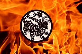Image result for Fire Tiger Chinese Zodiac