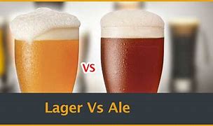Image result for Lager Beer vs Ale
