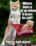 Image result for Cat Tail Meme