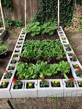 Image result for Cute Vegetable Garden Ideas