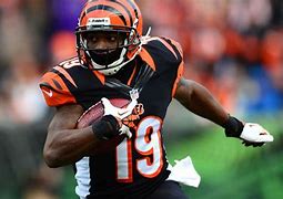 Image result for Brandon Tate Getty Images