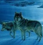 Image result for Written by Wolves Songs