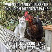 Image result for Funny Best Friend Protective Quotes and Memes