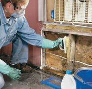 Image result for Remove Mold From Home