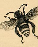 Image result for Vintage Honey Bee