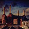 Image result for Pink Floyd Comfortably Numb Live