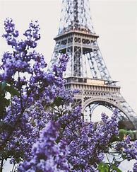 Image result for Wallpaper Flowers Eiffel Tower Paris