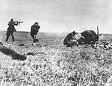 Image result for SS Soldiers WW2 in Plain Fields