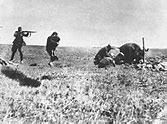Image result for Ukraine in WW2