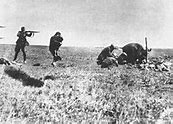 Image result for Einsatzgruppen Bodies