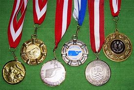 Image result for Hans-Ulrich Rudel Medals