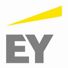 Image result for ey logo