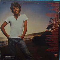 Image result for Andy Gibb Hits