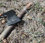 Image result for Rabbit Snare in Action