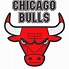 Image result for Chicago Bulls Logo Design
