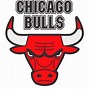 Image result for Chicago Bulls Logo That