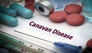 Image result for Canavan Treatment