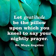 Image result for Angelou Maya Gratitude Quotes