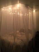 Image result for Bed Canopy with Lights