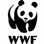 Image result for WWF T-Shirt