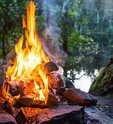 Image result for Forest and Camp Fire