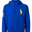 Image result for Ralph Lauren Polo Hoodie Blue Green