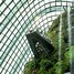 Image result for Singapore Green