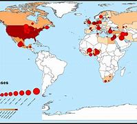 Image result for Avian Flu Outbreak Map
