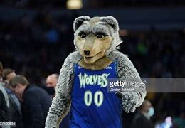 Image result for Timberwolves Mascot