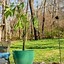 Image result for DIY Plant Stands Outdoor