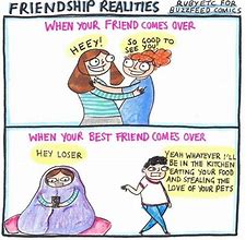 Image result for Friend Humor Cartoons