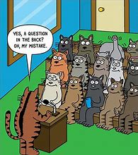 Image result for Sarcastic Cat Cartoons
