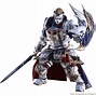 Image result for FFXIV Paladin Class Armor