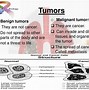 Image result for Lung Cancer Cells