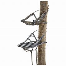Image result for Summit Tree Stands