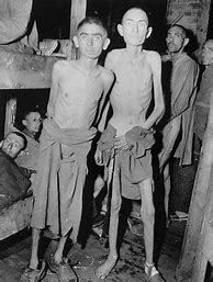 Image result for Liberation of the Concentration Camp