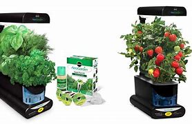 Image result for Aerogarden Harvest With Gourmet Herb Seed Pod Kit In Black - Aerogarden - Other Specialty Electrics - Black