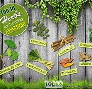 Image result for Herbs for Asthma Cure