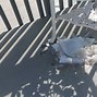 Image result for Exterior Deck Waterproofing Systems