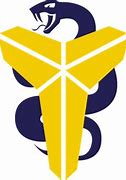 Image result for Mamba Sports Academy Logo.png